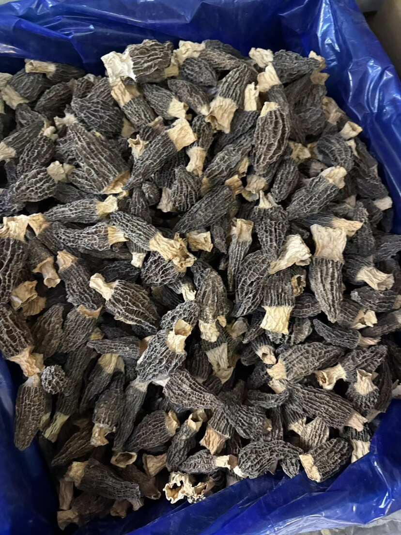 厚羊肚菌干货  5-8