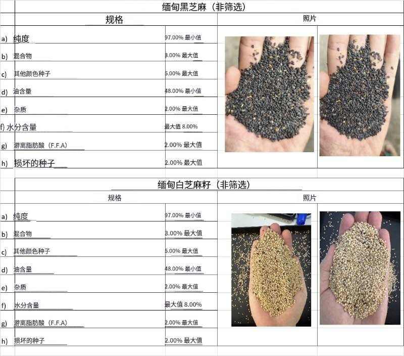 缅甸生黑芝麻、白芝麻，是全世界最好的芝麻产地之一