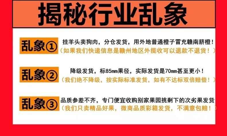 2025赣南脐橙江西橙子新鲜水果 5/10斤赣州手剥甜橙