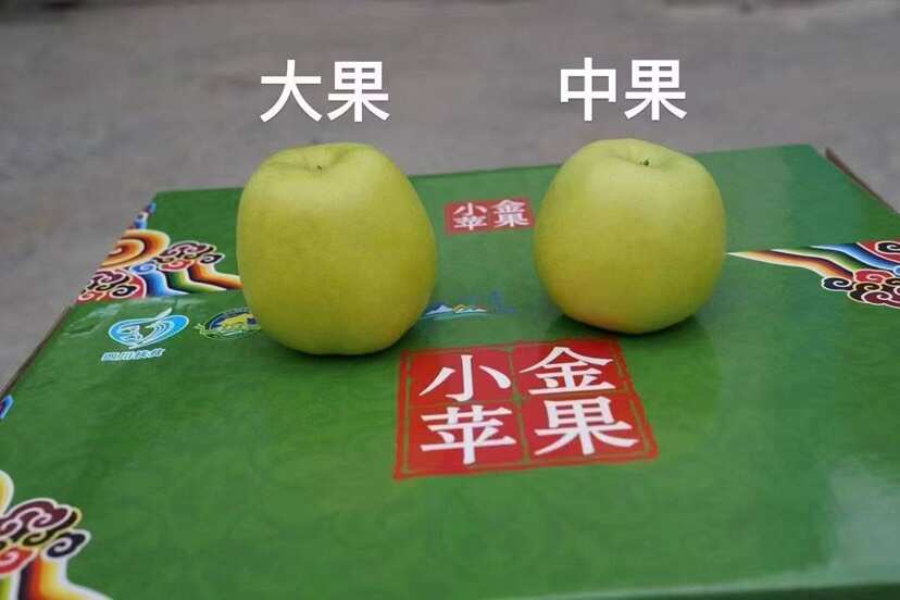 四川小金苹果 产地直发 多种物流可选 支持代发