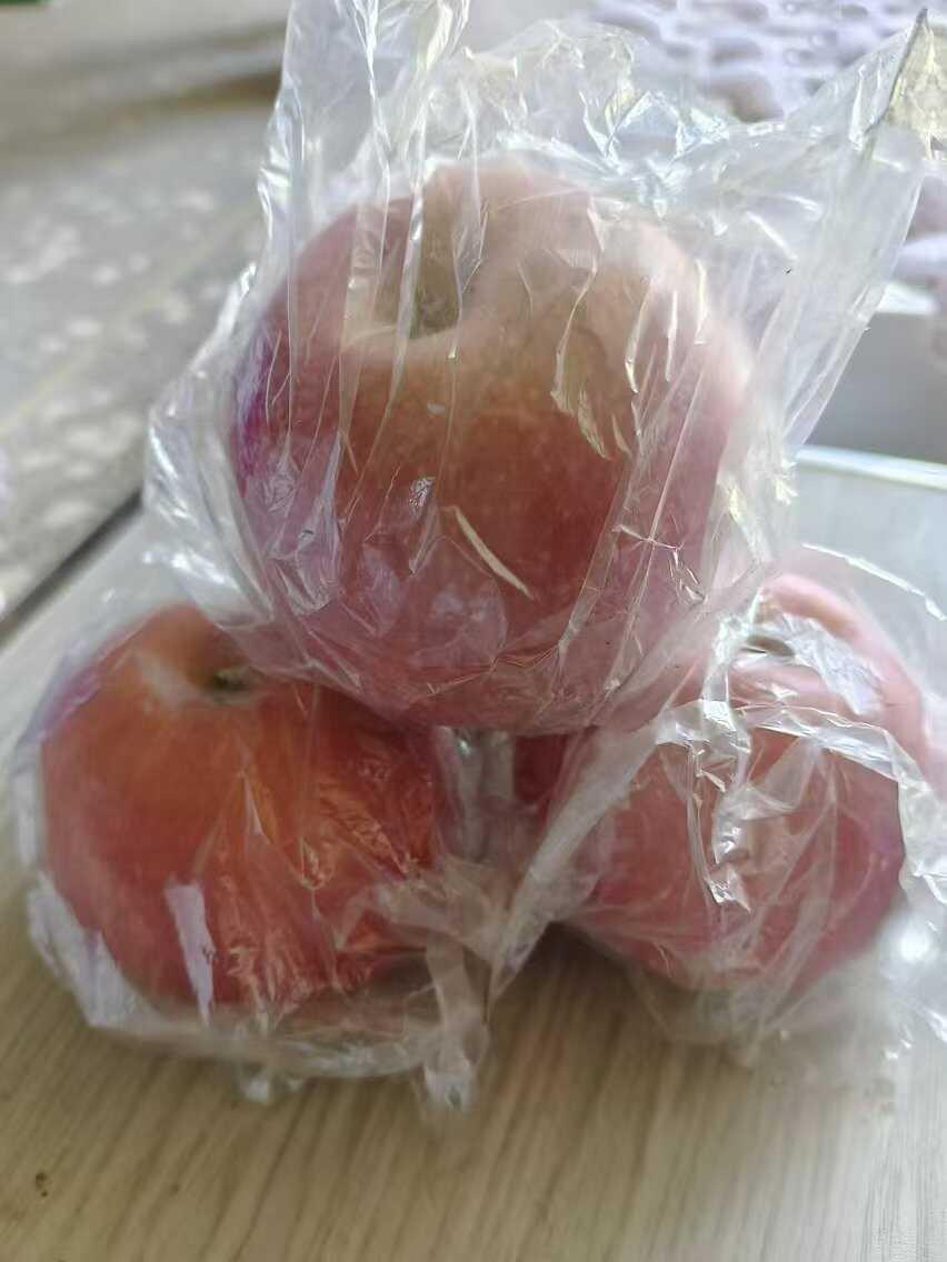 红富士苹果