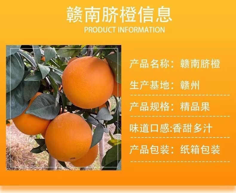 2025赣南脐橙江西橙子新鲜水果 5/10斤赣州手剥甜橙