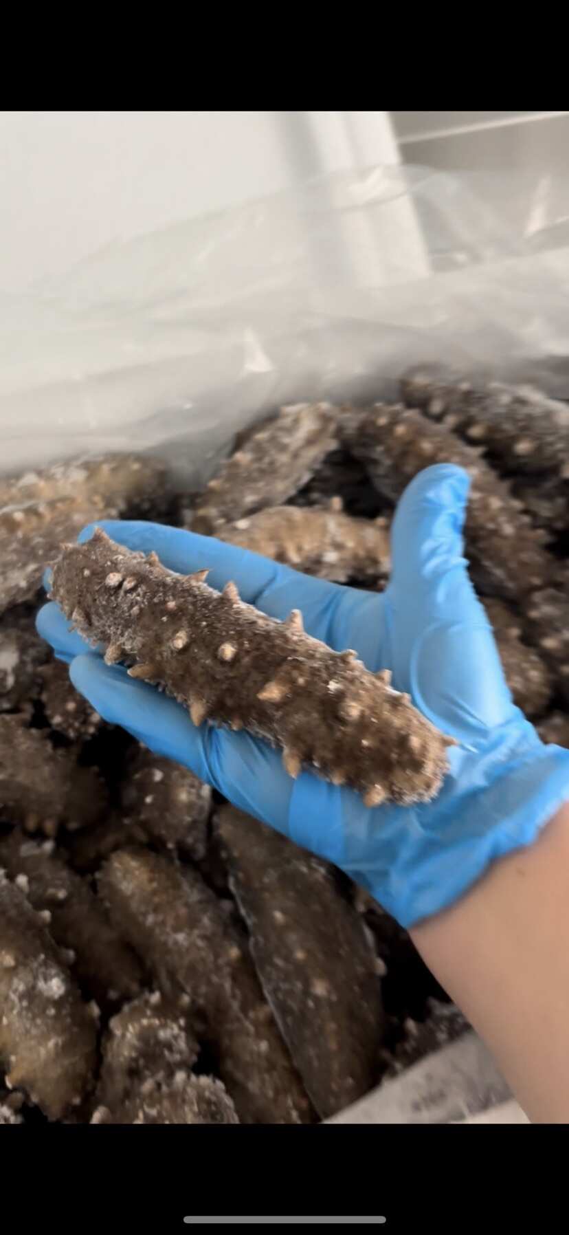 即食海参厂家直销各种规格辽参开袋即食送礼家用贩卖都合适推荐