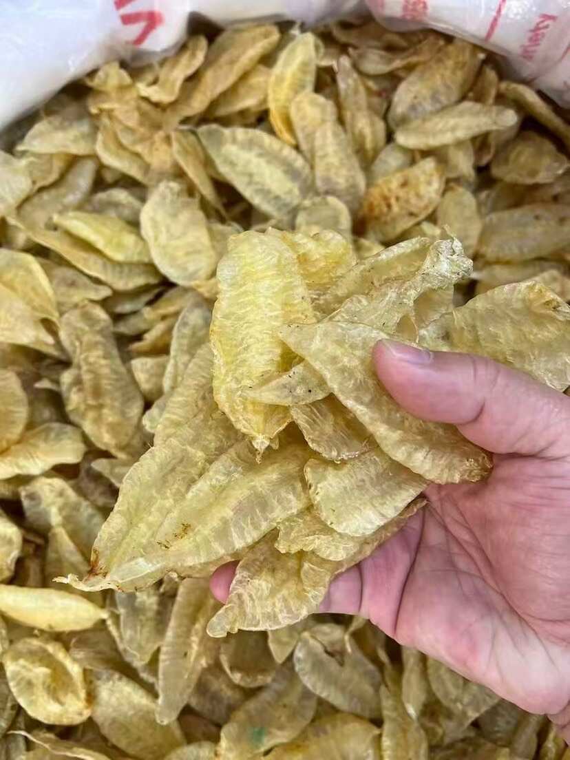 叶子胶 囗感胶质好 100-110头