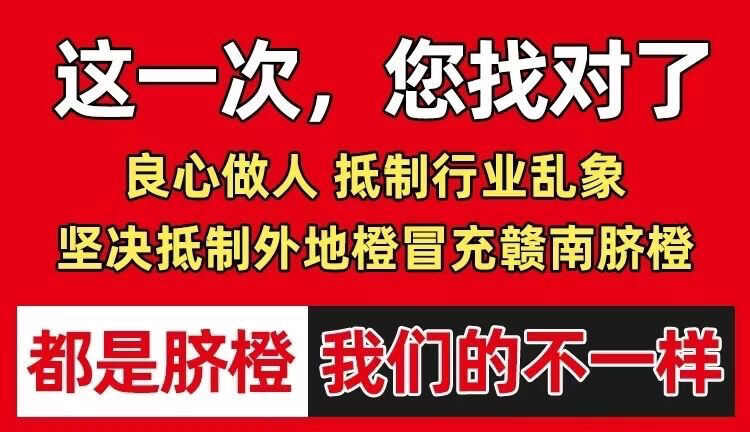 2025赣南脐橙江西橙子新鲜水果 5/10斤赣州手剥甜橙