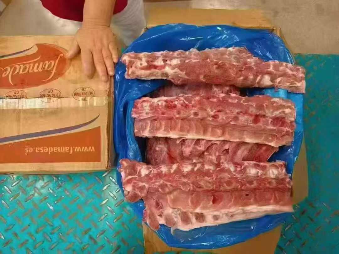 797背骨