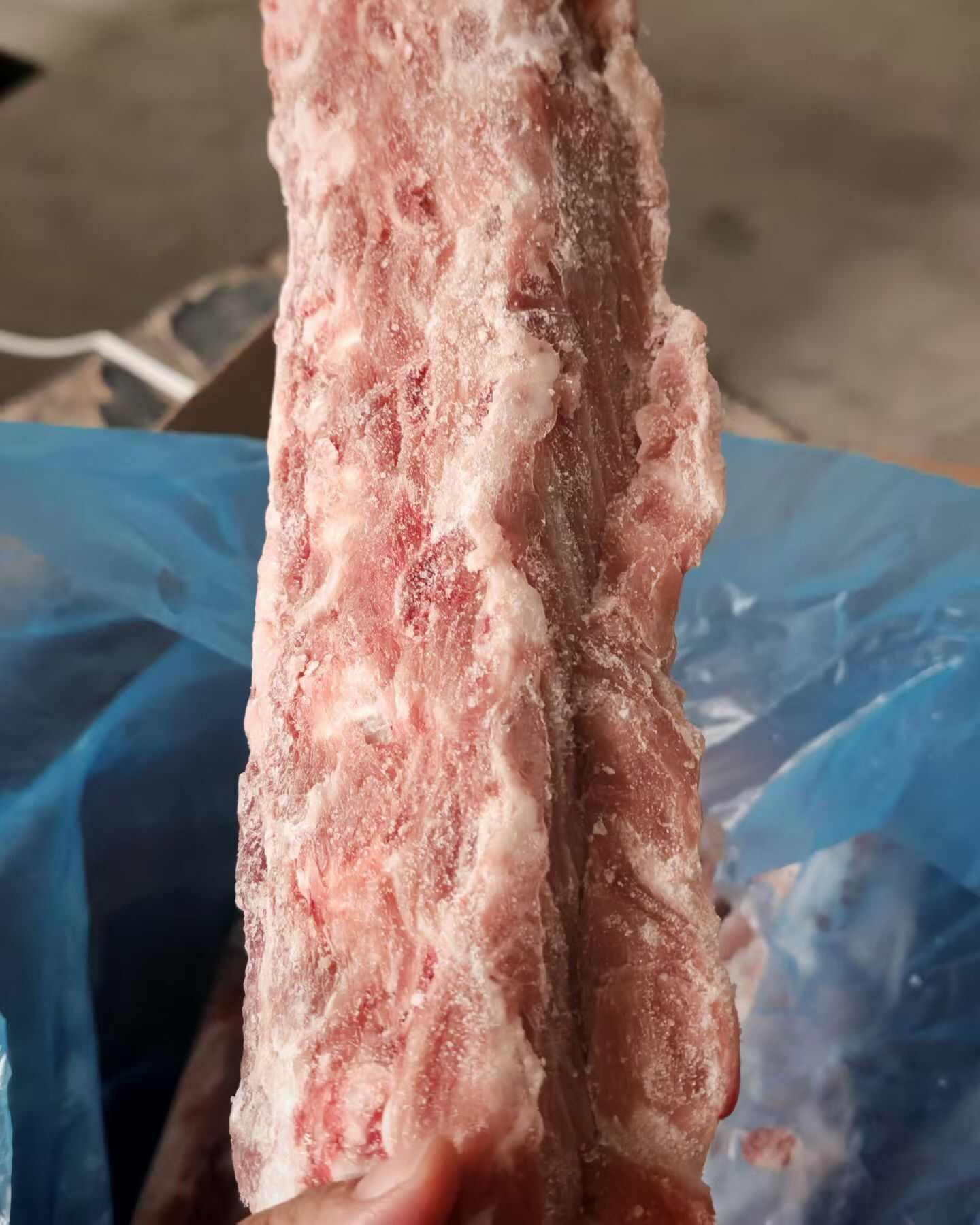 17362龙骨
