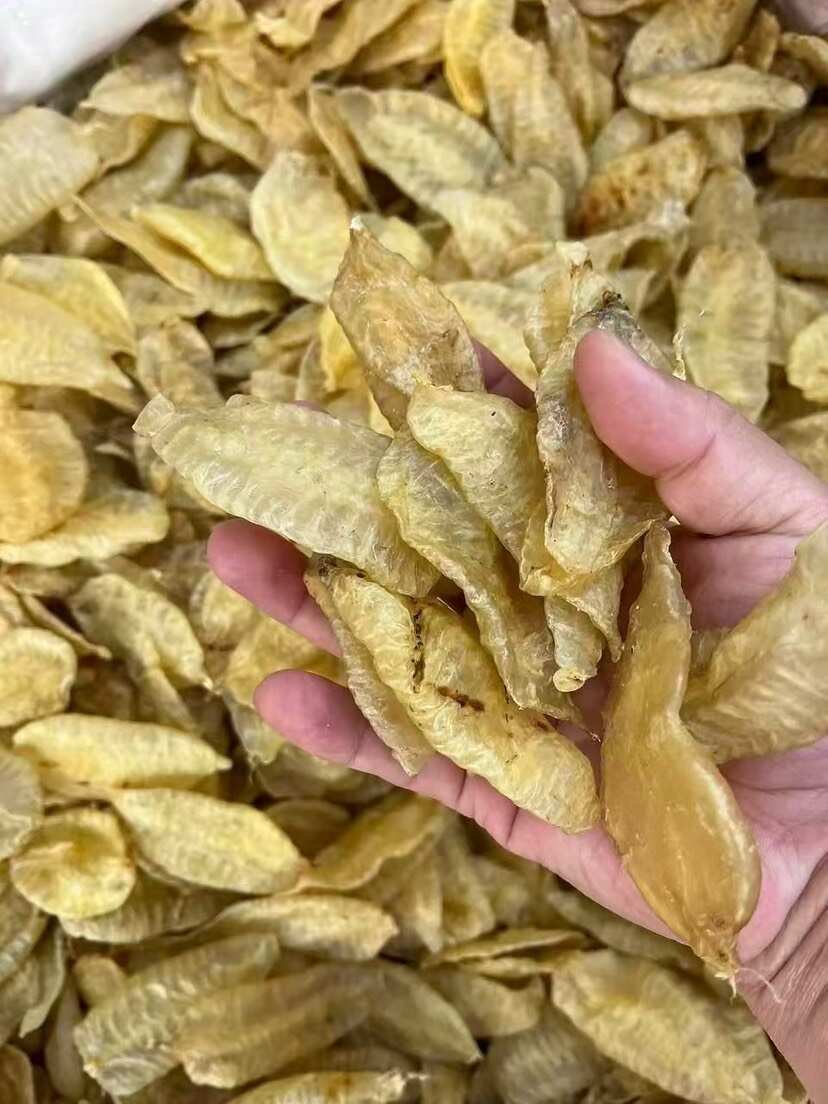 叶子胶 囗感胶质好 100-110头