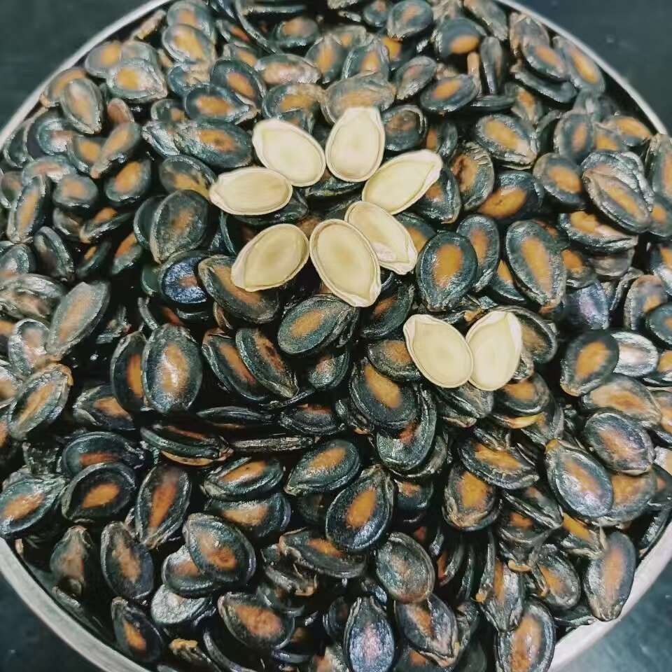 西瓜子