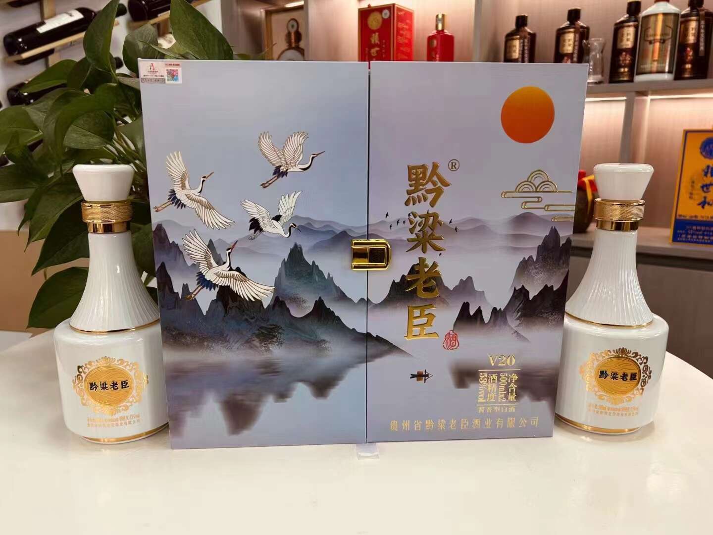 黔粱老臣V20