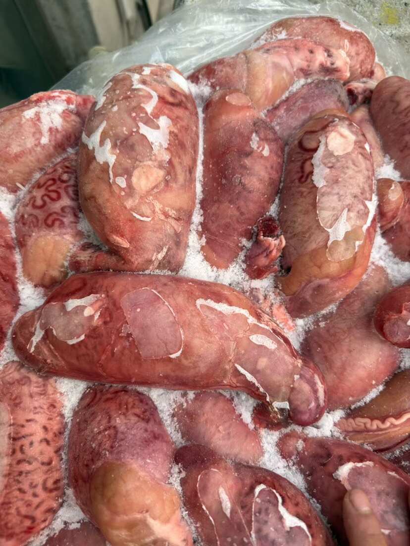 牛宝宝