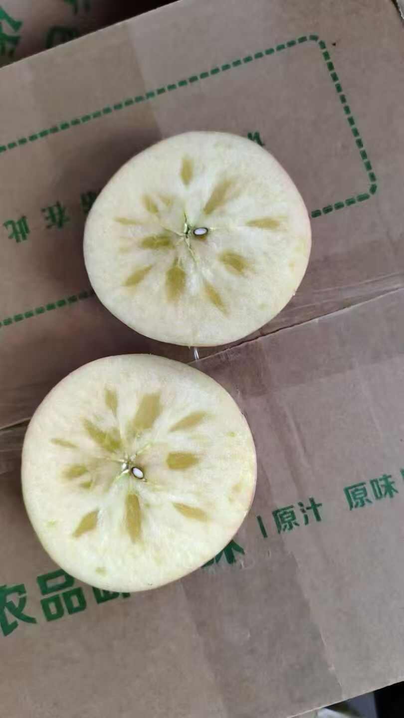 甘肃会宁红富士苹果