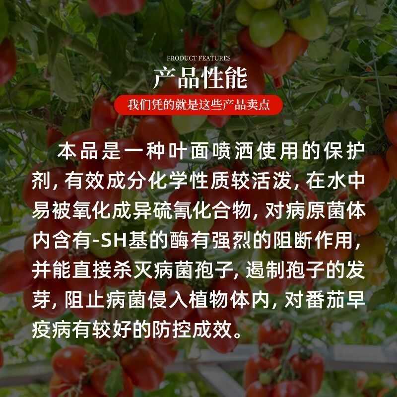 65%代森锌盈辉蓝钻番茄西红柿蔬菜早疫病专用杀菌剂果树农药正