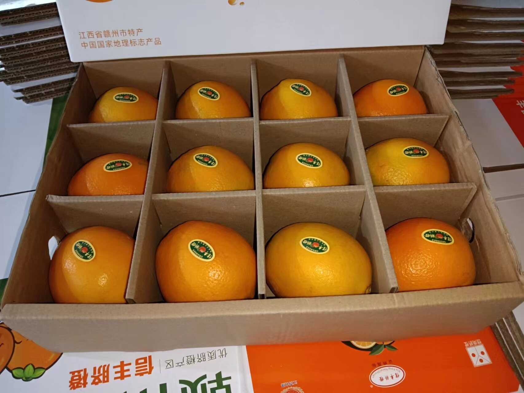 江西信丰纽荷尔橙 赣南脐橙 新鲜采摘 果大汁多