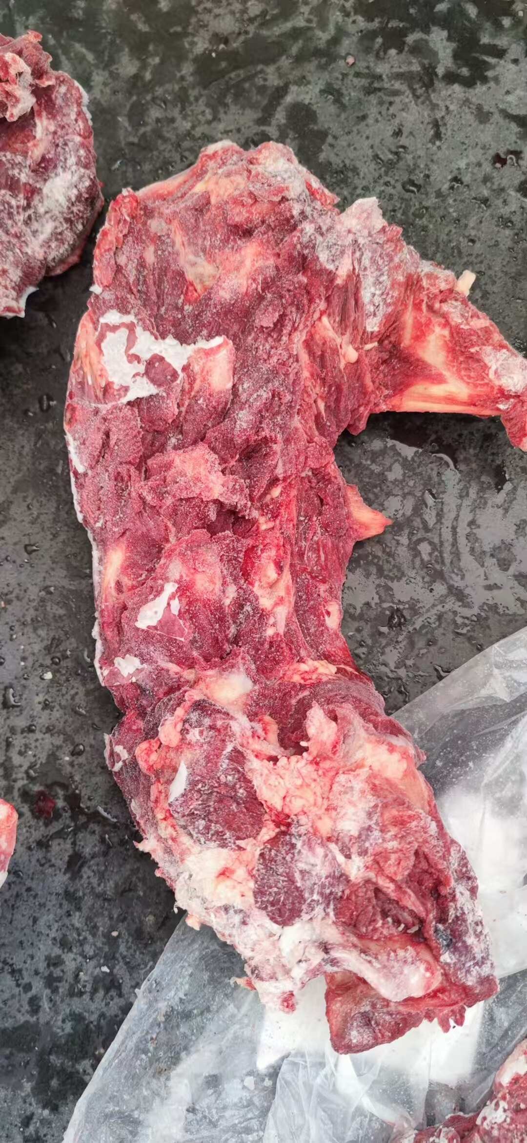 澳洲716厂牛脖骨 整柜现货