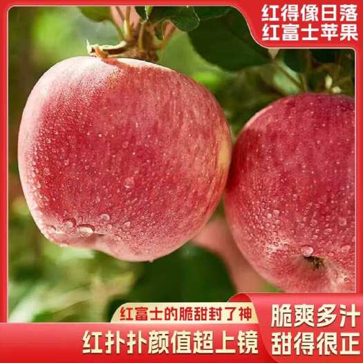 2025年烟台红富士电商代发