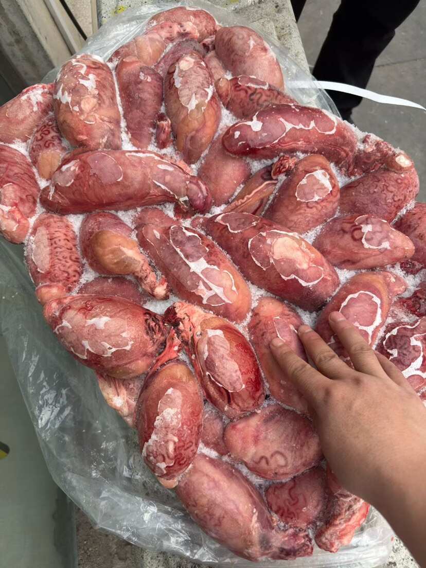 牛宝宝