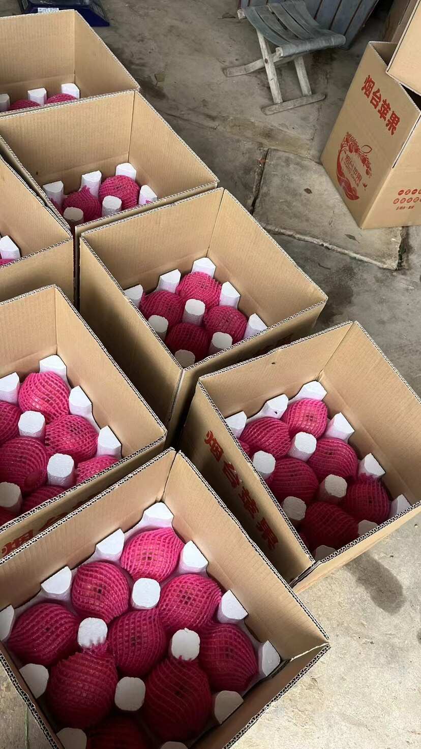 山东烟台红富士苹果精选小果现在现发