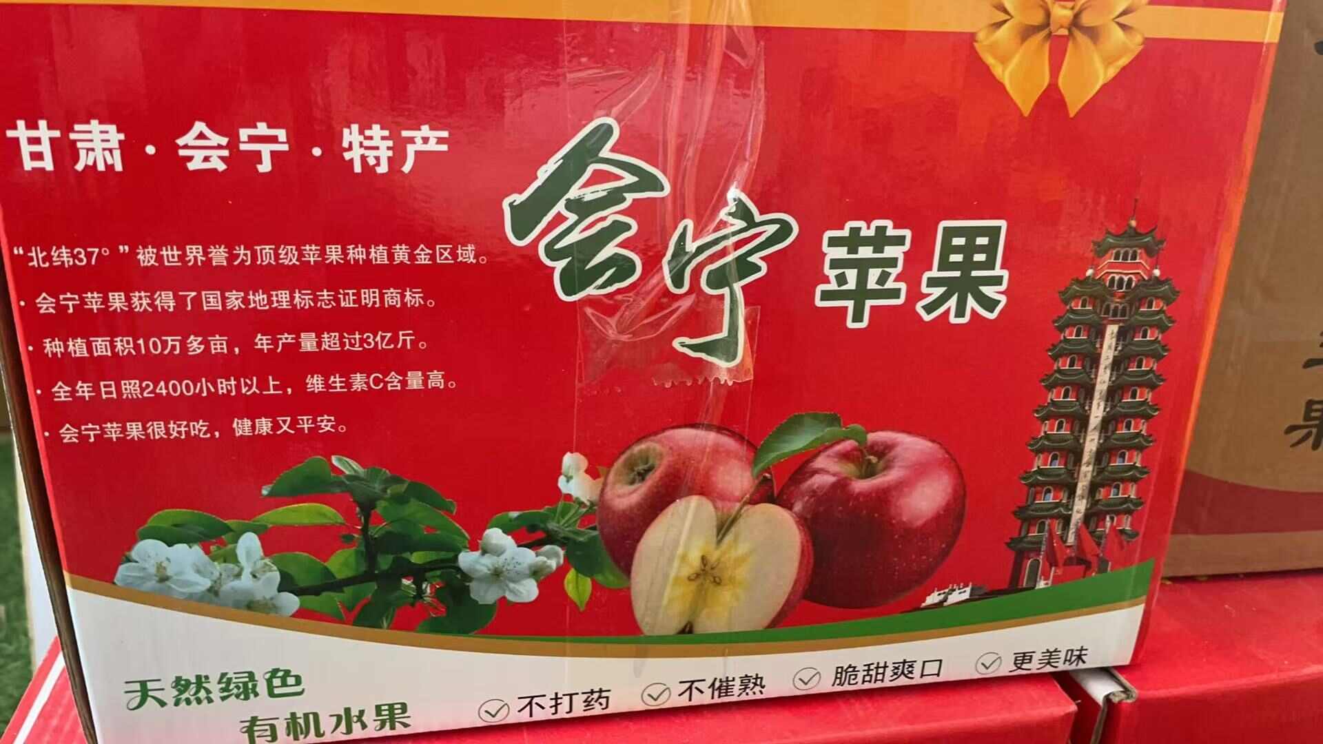 甘肃会宁红富士苹果
