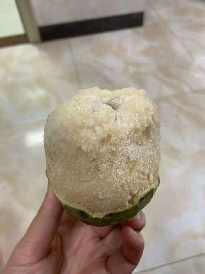 清远市本地、薄皮、释迦果、农家肥种植，更清甜、更美味！