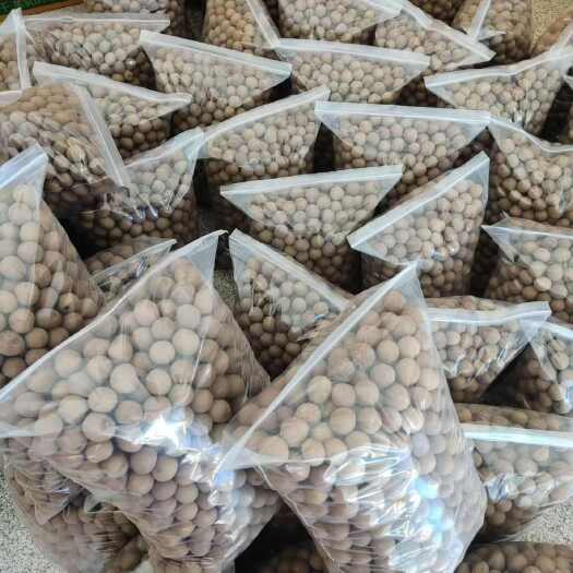 桂圆干(香糯)500克/袋，顺丰快递包邮
