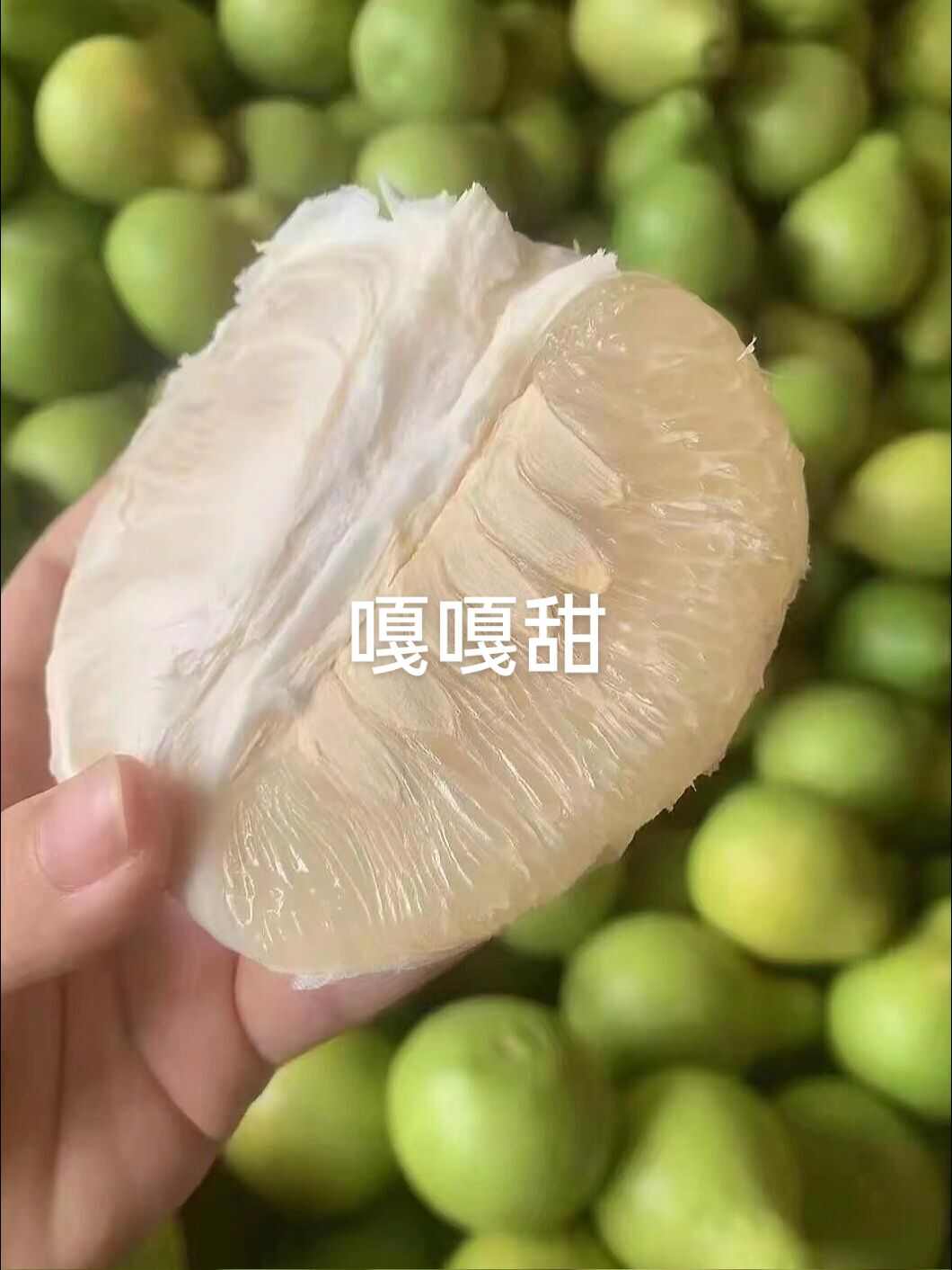 广西容县沙田柚山地果