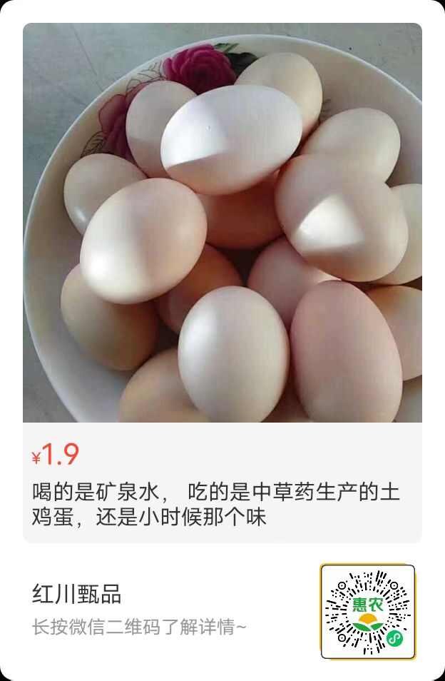 中医理念守真一放养土鸡产的土鸡蛋