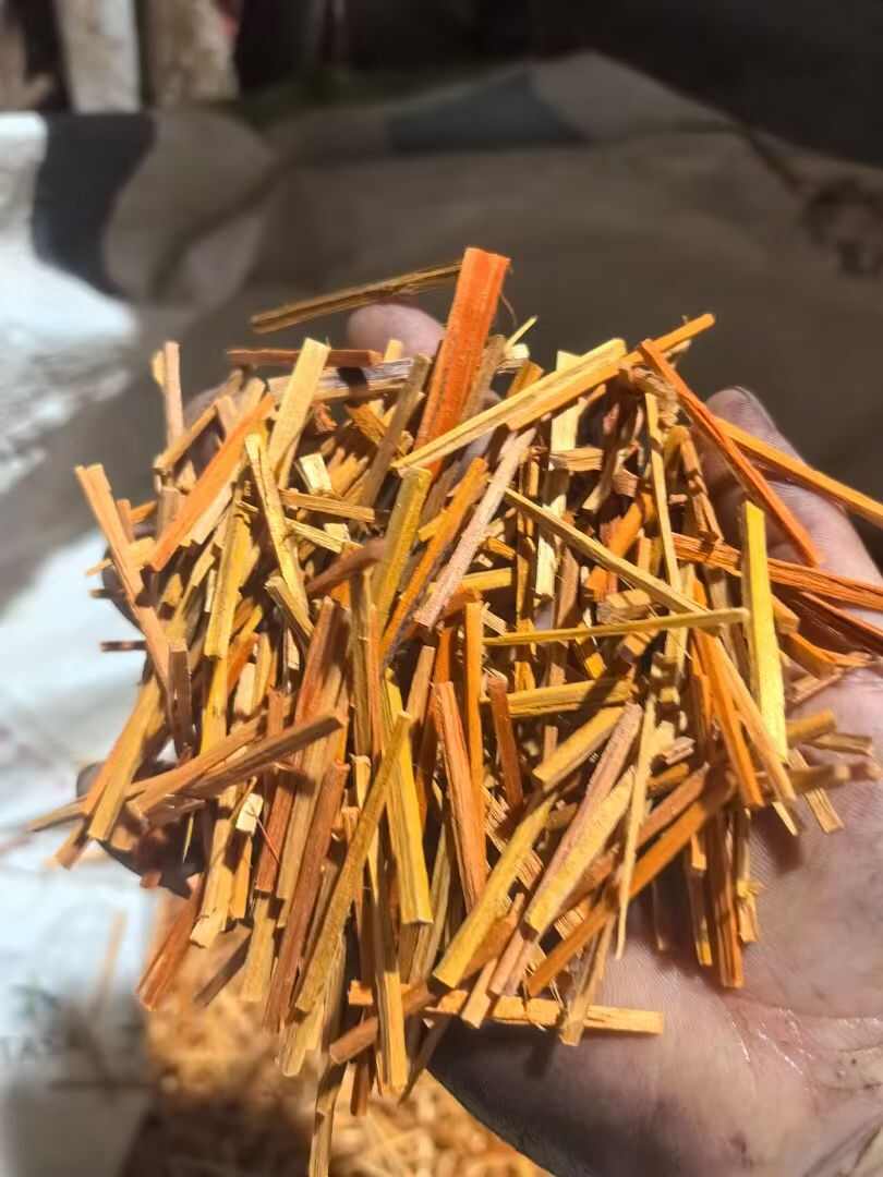 云南石屏苏木中药材藤木类优质货源