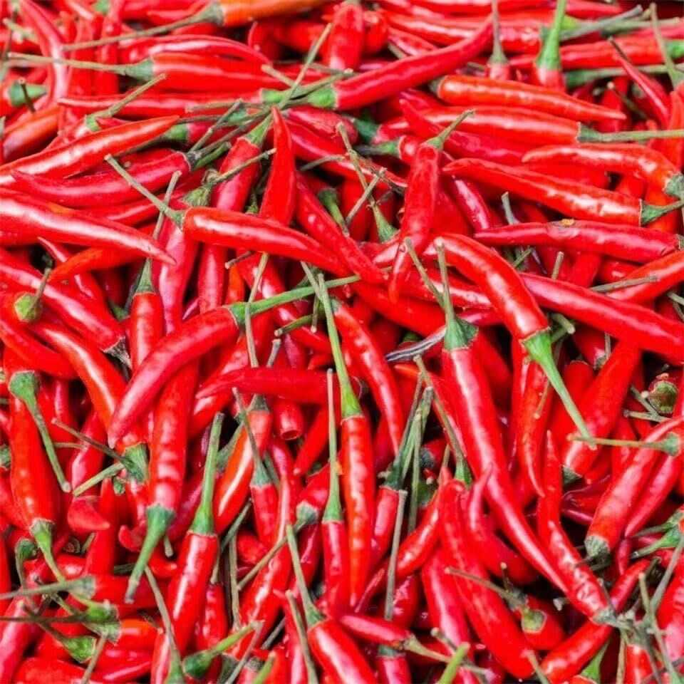 云南新鲜小米辣红辣椒小米辣小米辣椒朝天椒新鲜现摘