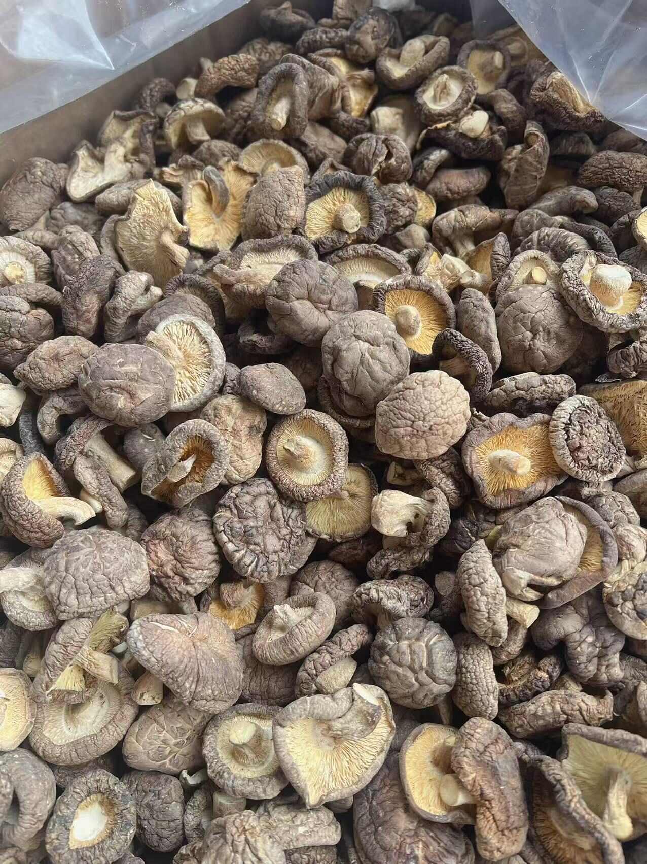 香菇 地摊电商批发香菇干冬菇花菇香菇干货批发