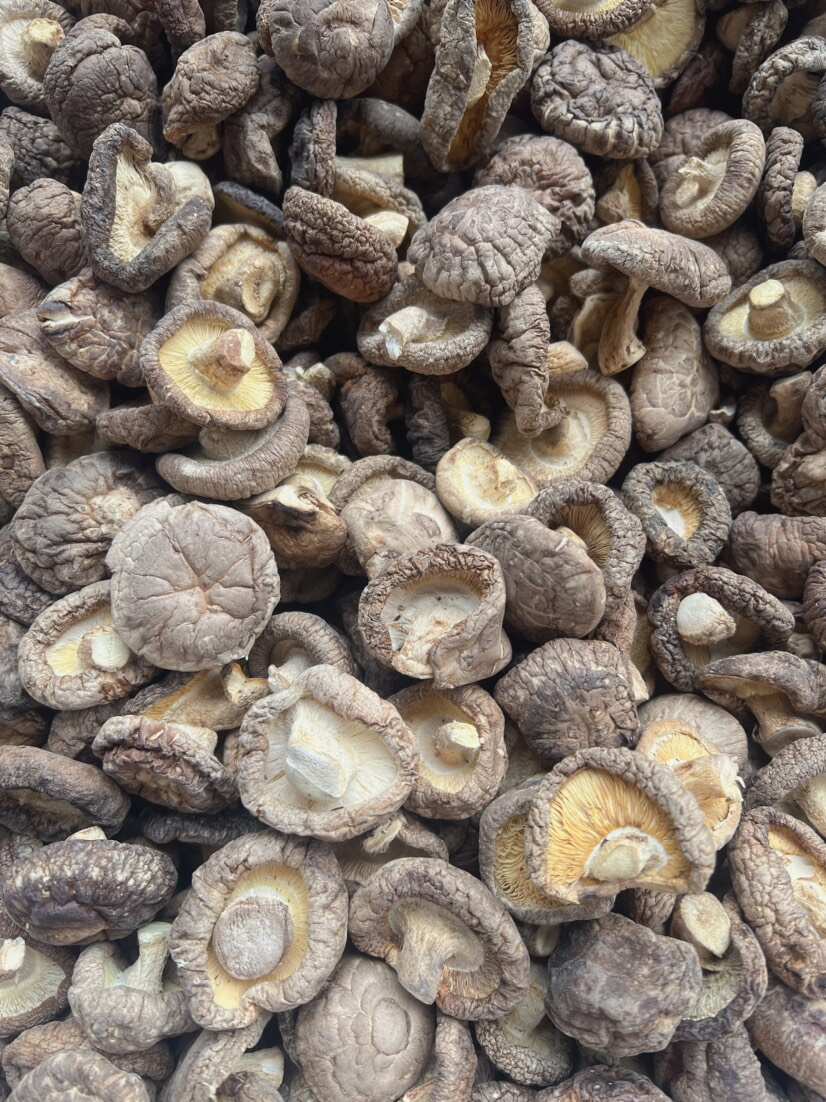 香菇 地摊电商批发香菇干冬菇花菇香菇干货批发 香菇 地摊电商批发香菇干冬菇花菇香菇干货批发