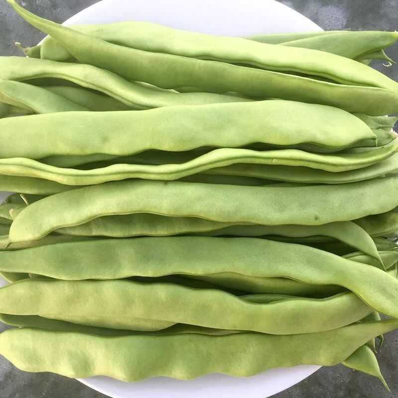 云南新鲜扁豆绿扁豆大扁豆当季蔬菜