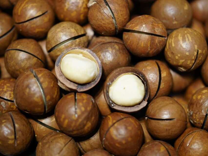 云南临沧夏威夷果 昆明发货 优质干果