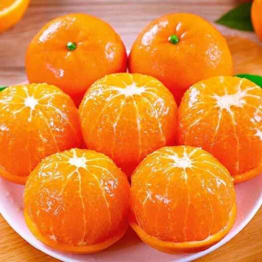 寻乌县武鸣沃柑大量上市中 支持一件代发  专业的客服  成熟的