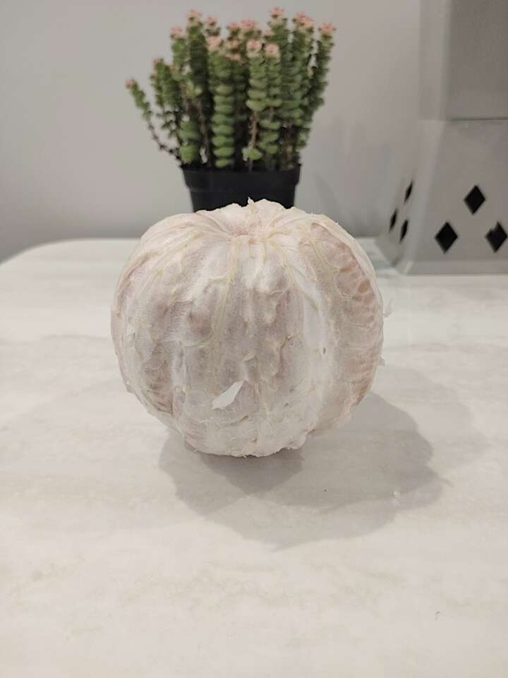 铜仁市万山区特产香柚，果肉饱满，脆甜多汁，清火