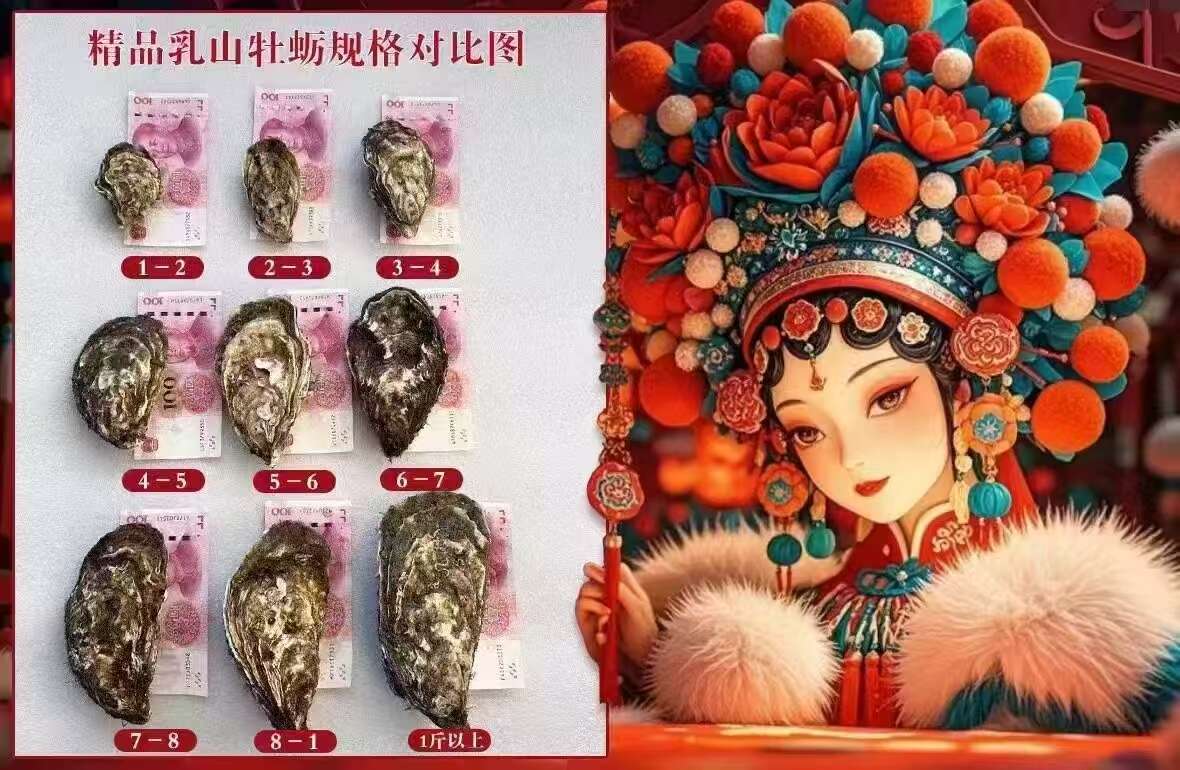 乳山生蚝，生蚝肉，液氮锁鲜半壳生蚝