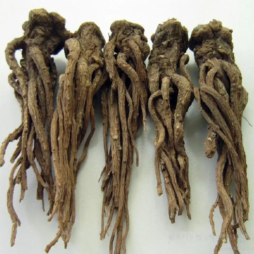 岷县高海拔种植的高含量当归，一斤也是批发价，原汁原味发货