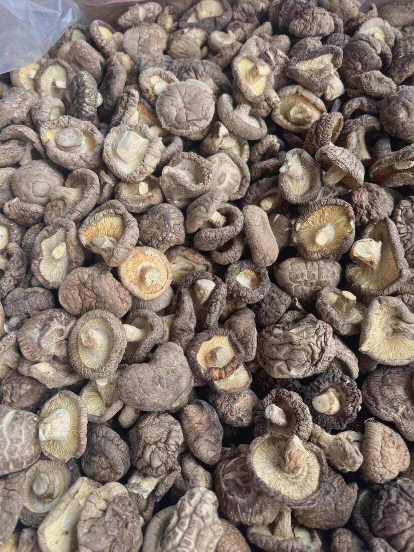 香菇 地摊电商批发香菇干冬菇花菇香菇干货批发 香菇 地摊电商批发香菇干冬菇花菇香菇干货批发