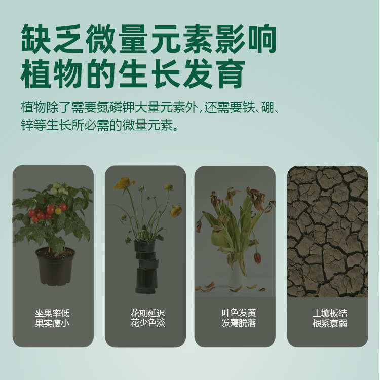 家用肥盆栽有机肥复合肥微生物菌肥一次一袋不返潮