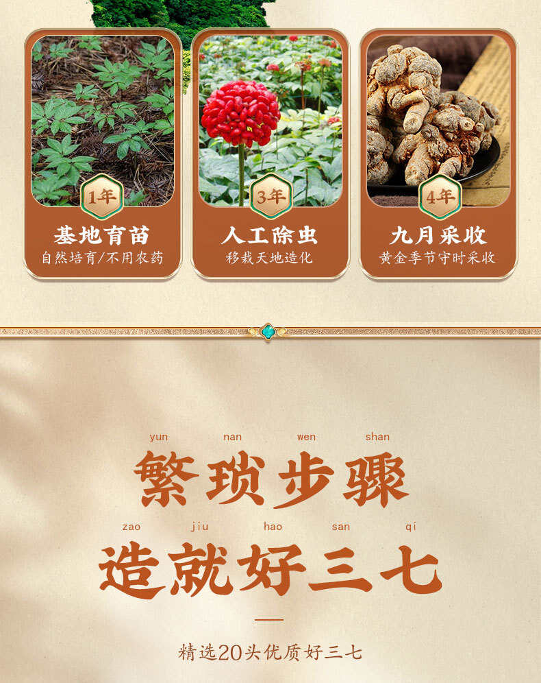 严选【南京同仁堂文山三七粉】正品文三七粉云南文山三七粉批发