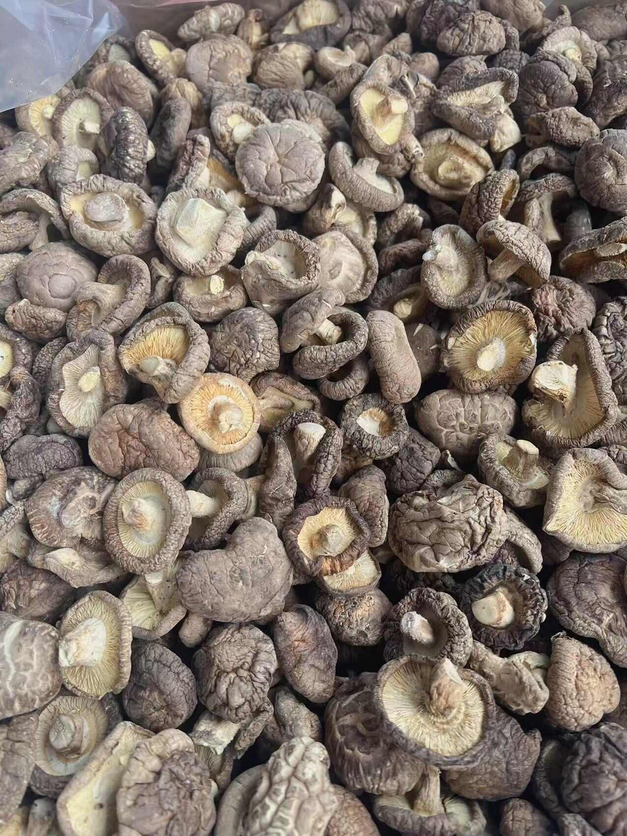 香菇 地摊电商批发香菇干冬菇花菇香菇干货批发