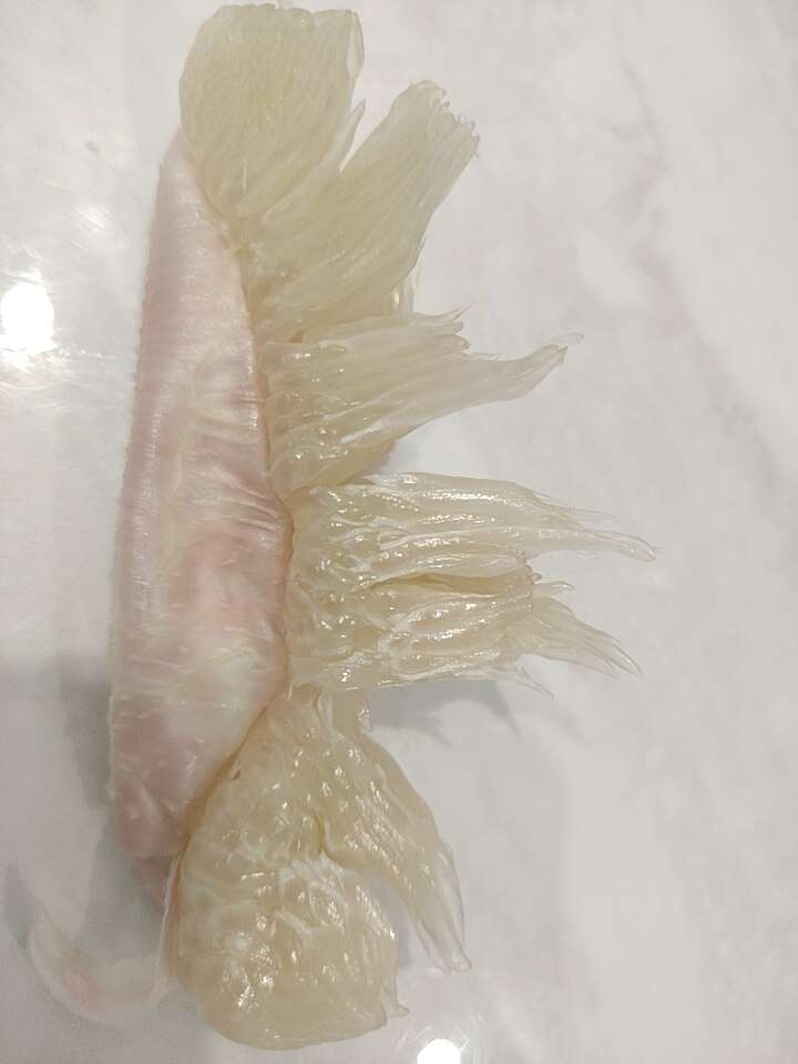 铜仁市万山区特产香柚，果肉饱满，脆甜多汁，清火