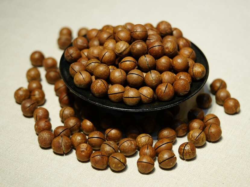 云南临沧夏威夷果 昆明发货 优质干果