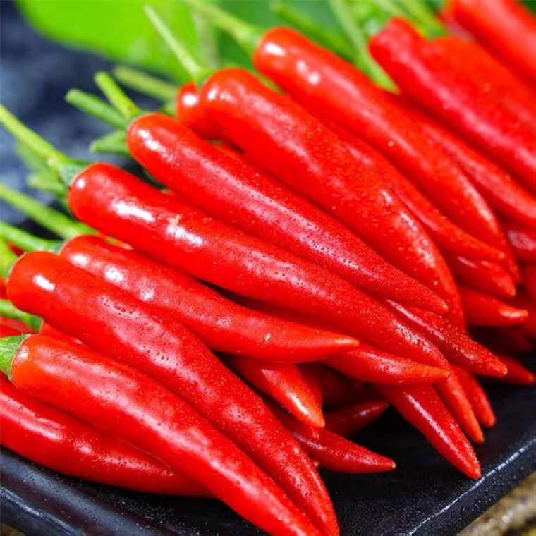 云南新鲜小米辣红辣椒小米辣小米辣椒朝天椒新鲜现摘