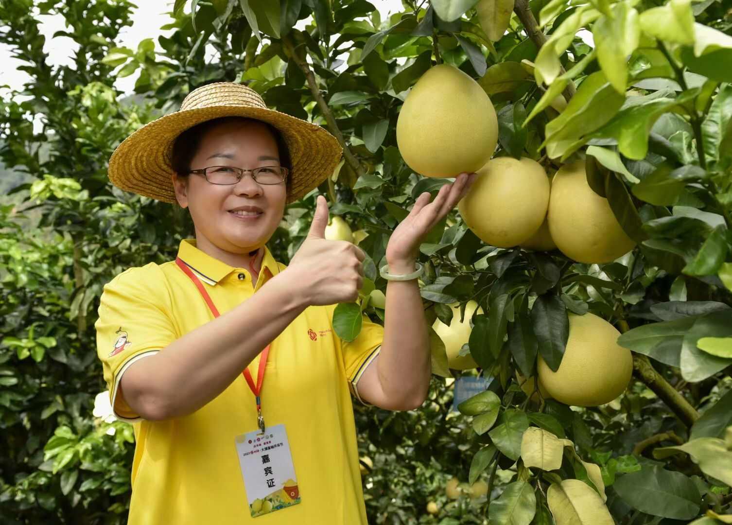 竹盐金柚条，天然绿色食品茶点，轻食健康回味富含膳食维C