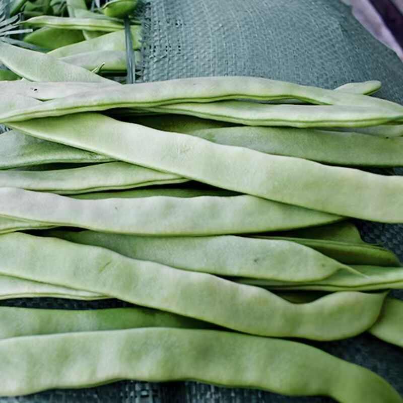 云南新鲜扁豆绿扁豆大扁豆当季蔬菜