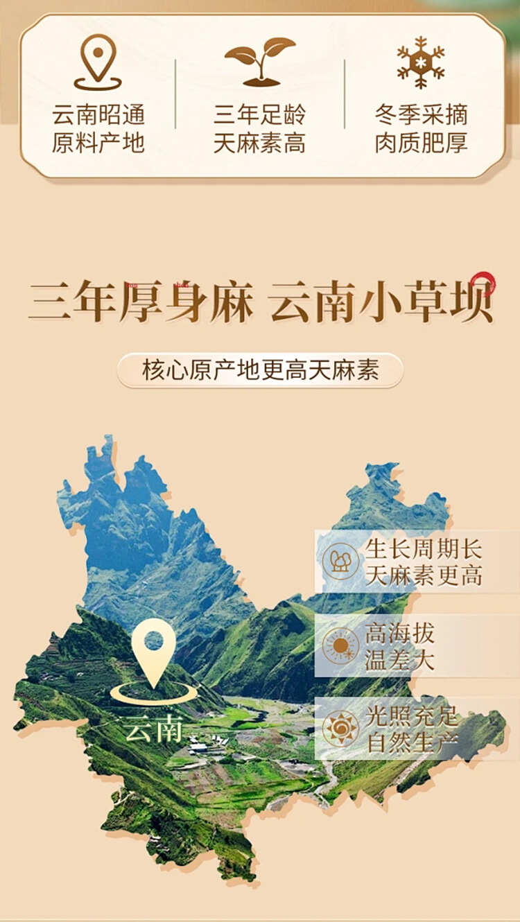 严选【北京同仁堂天麻粉】云南昭通天麻细腻粉小草坝天麻冲饮批发