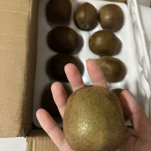 周至县周至徐香猕猴桃 规格多 可一件代发