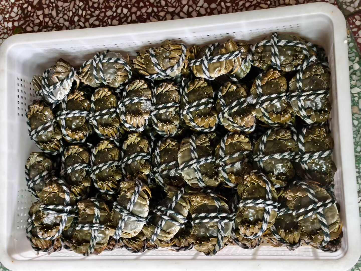 大闸蟹