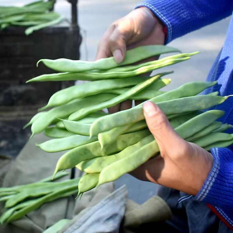 云南新鲜扁豆绿扁豆大扁豆当季蔬菜